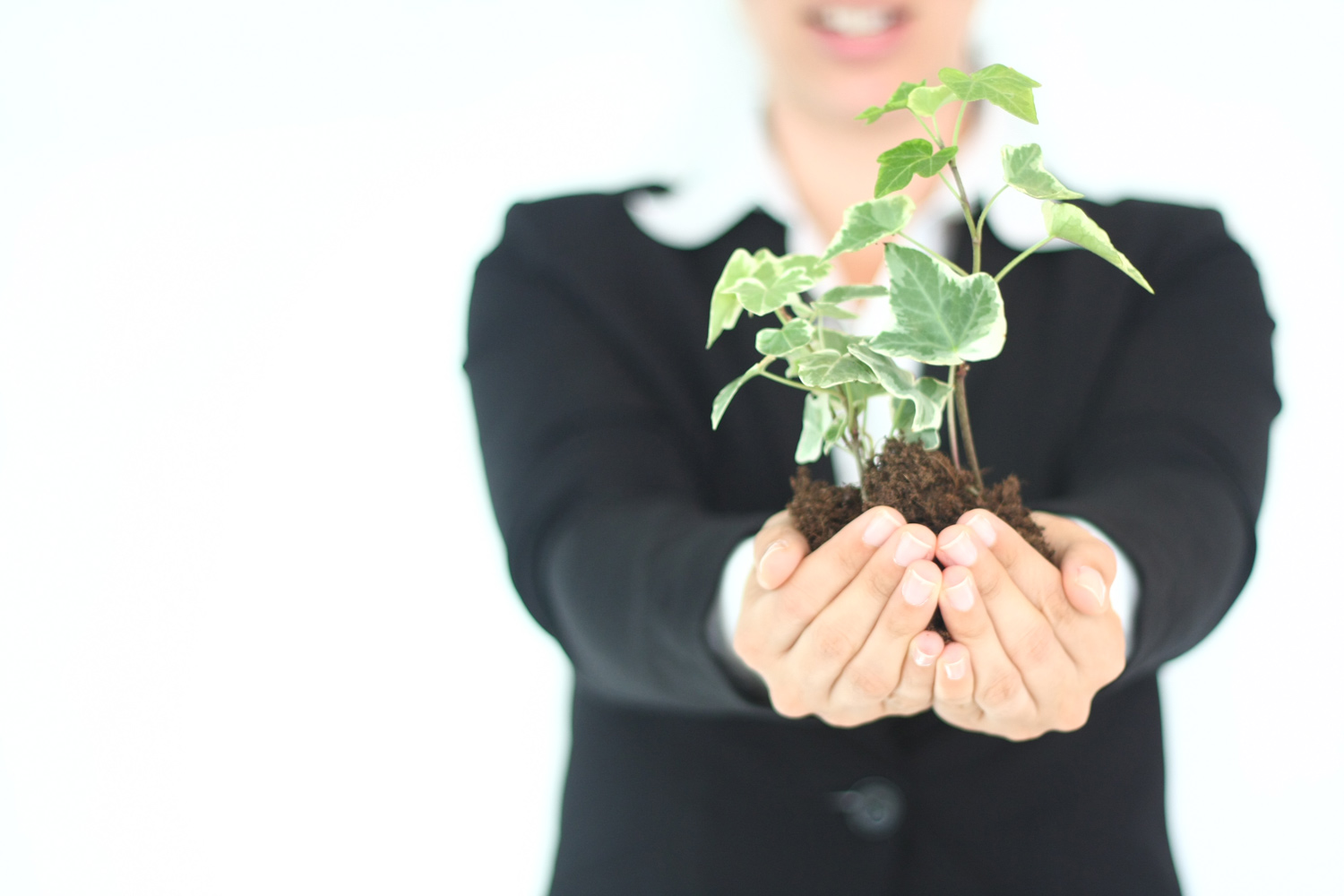Plant Presentation